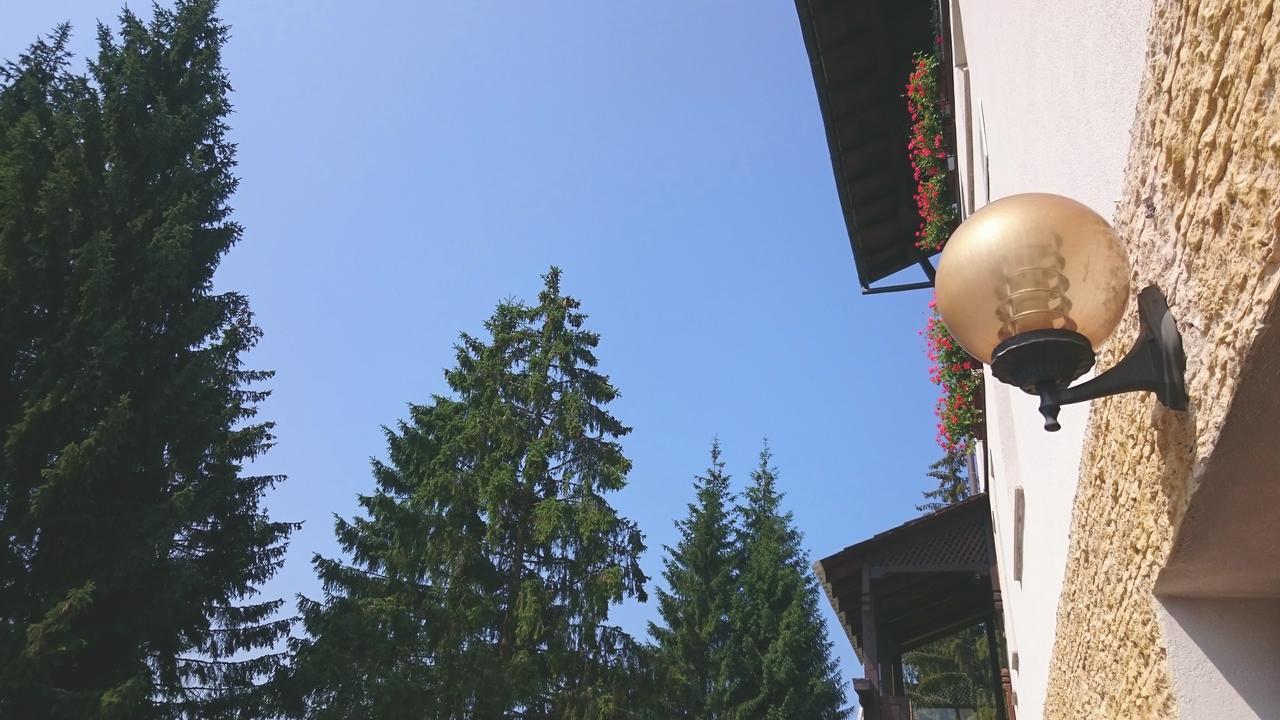 Pensiunea Panoramic Vartop Exterior photo